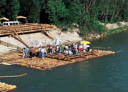 gallery thumbnail picture