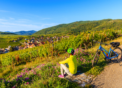 ©pkazmierczak - stock.adobe.com