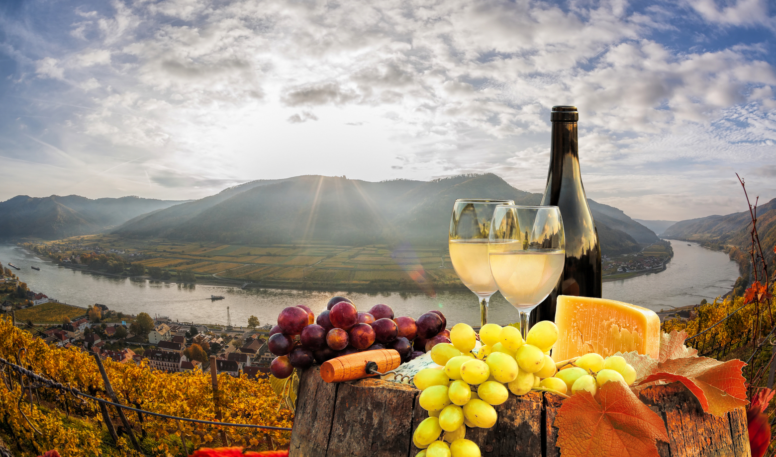 Wachau: das berühmteste Weinbaugebiet Österreichs