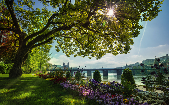 Flussufer mit Baum, Blumen, Brücke und Sonne im Hintergrund.